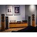 Floorstanding Speakers Amphion Argon3LS Black - img.5